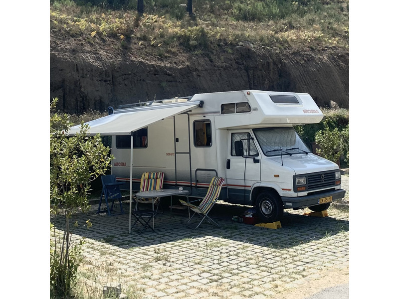 53198445